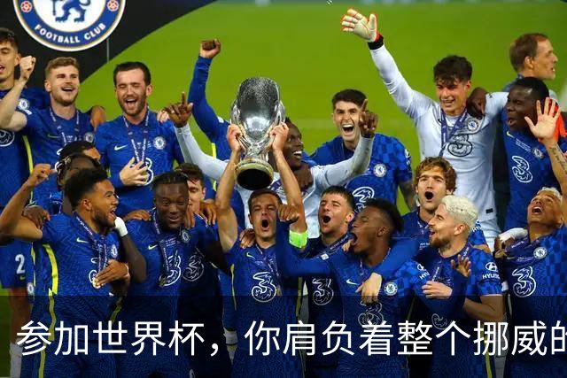 参加世界杯，你肩负着整个挪威的期望！哈兰德：我喜欢这样